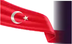 turkey b (1)